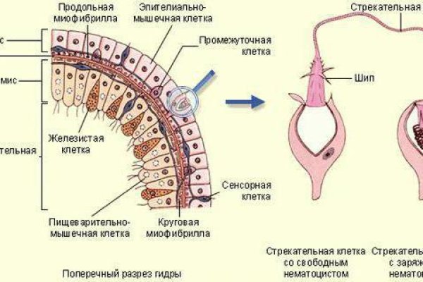 Что такое кракен маркетплейс