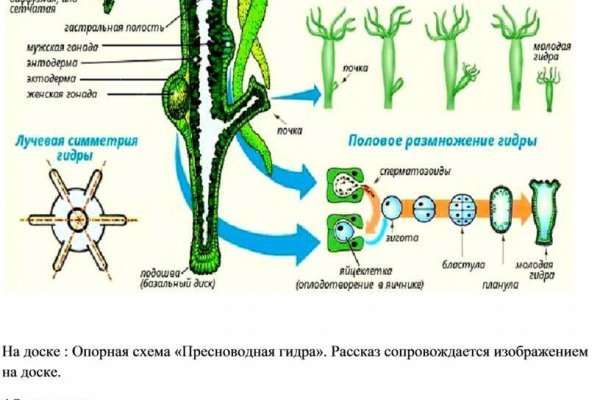 Актуальный домен кракена