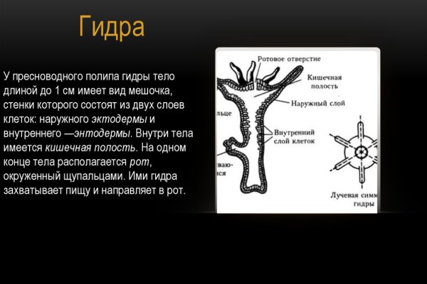 Ссылка на кракен тор браузер