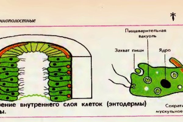 Кракен маркет даркнет слушать